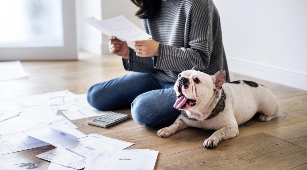 Financiamento ou consórcio, qual a melhor opção?